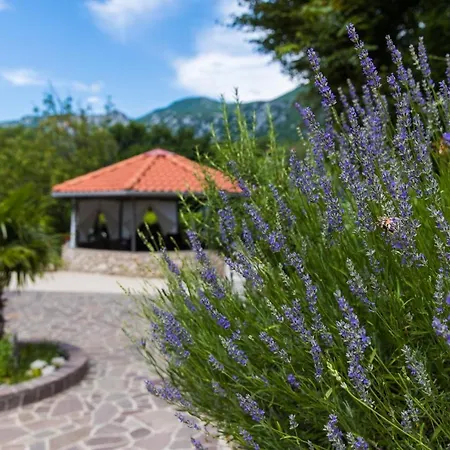 Σπίτι διακοπών Dea Grižane